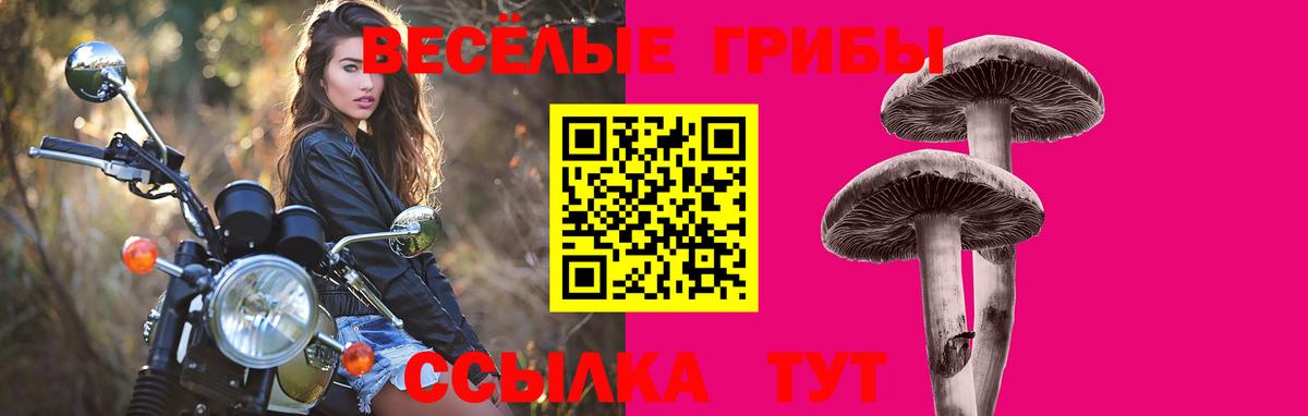 Галлюциногенные грибы прущие грибы  Вход с VPN  Соликамск  дарнет шоп  Псилоцибиновые грибы ЛСД 